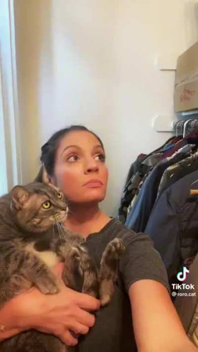 Showing your cat parts of the house they've never seen