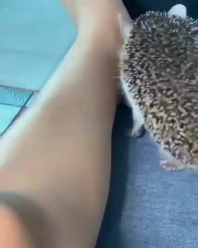 Mmm...FUCK YOUUUUUU