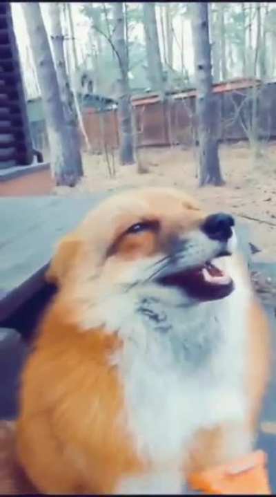 Owww! His face <3