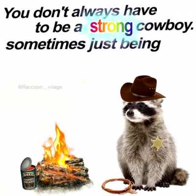 Me🦝irl