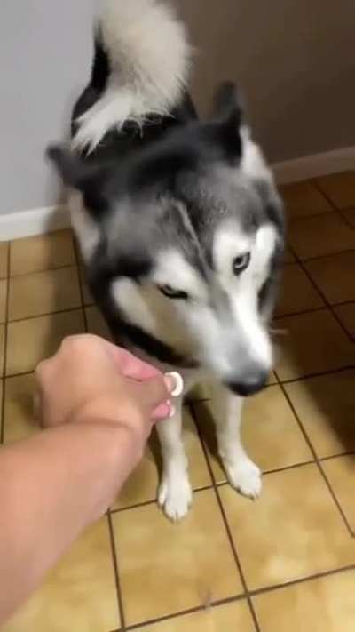 Huskies