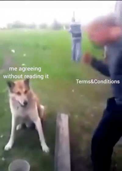meirl