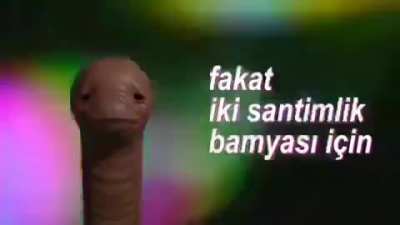 Dolar yükseldikçe 31 çekiyorum, 31 çektikçe dolar yükseliyor amk.