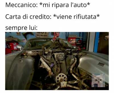 Meme definitivo