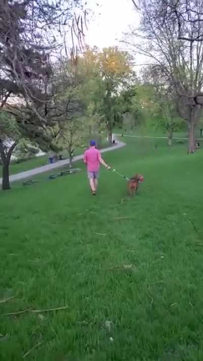 Walking the dog can be such a...drag.