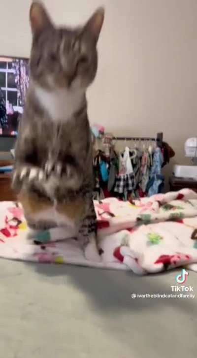 Big stretch