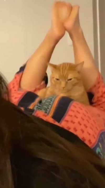 Kitty is not amused