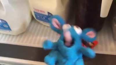 Rick Asteley wakes up to find a rat in his frinde