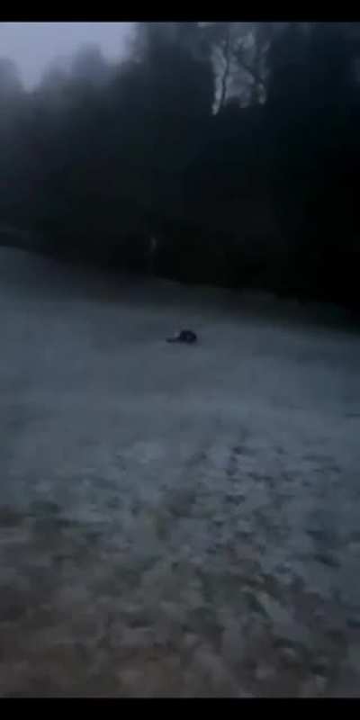 WCGW trying to go down a hill