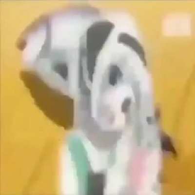 goofy ah anime girl