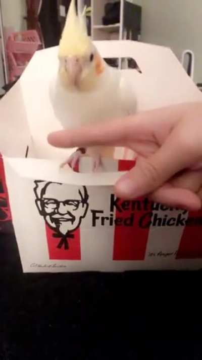 KFC never gets my order right