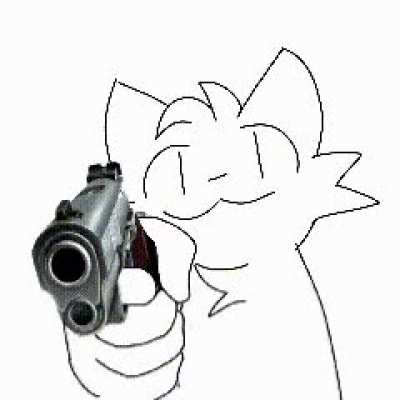 Gun