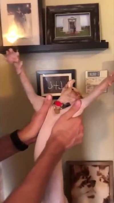 me_irl