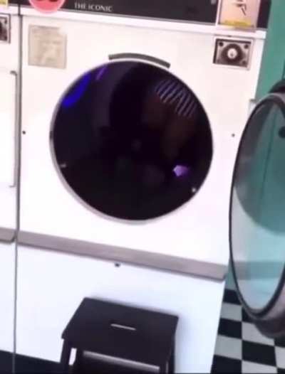 Just going to have fun in the dryer