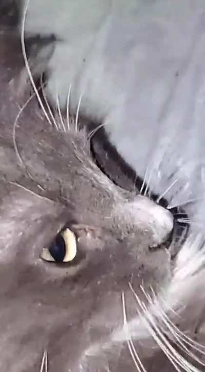 bruh . wait for it