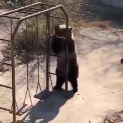 Just a normal play ground