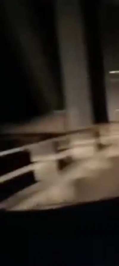 suicidal goat