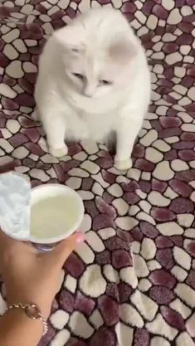 Smells delicious! Wanna smell?