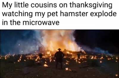 Wholesome 100 😎