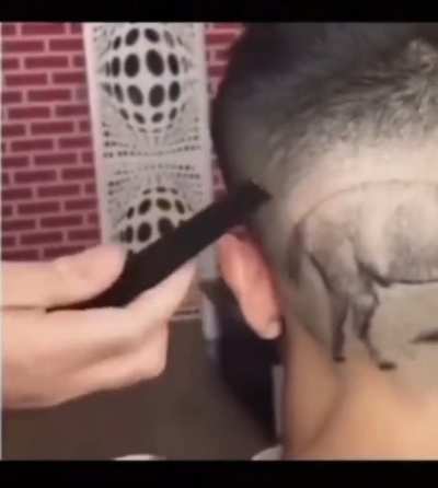 Horse hair bro….