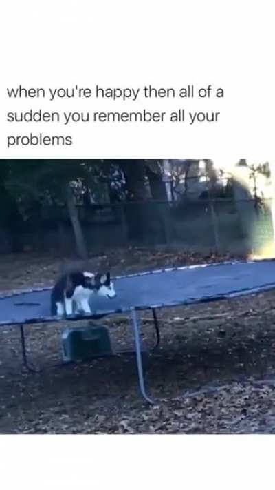 2meirl4meirl
