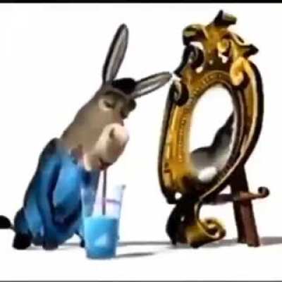 bloo