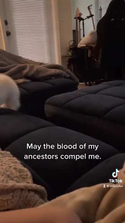 Wait for it… 😂