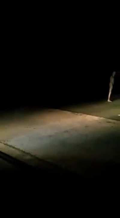 Alien spotted in India......???