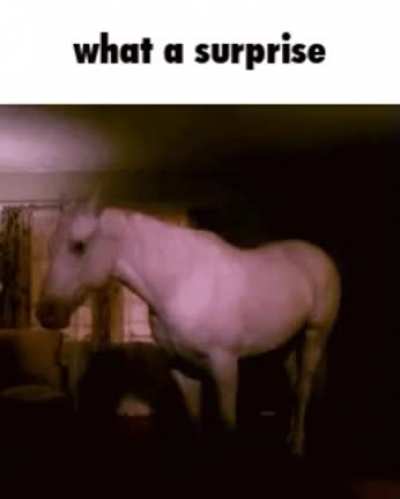 what a surprise