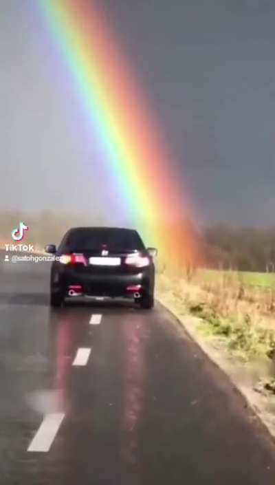 Rainbow 