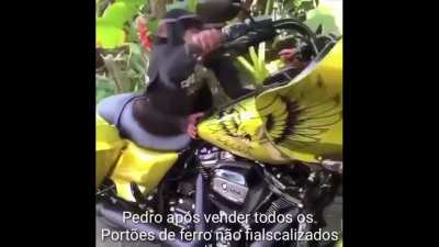 Finalmente pedro