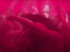 Selena in Zedd's I Want You To Know