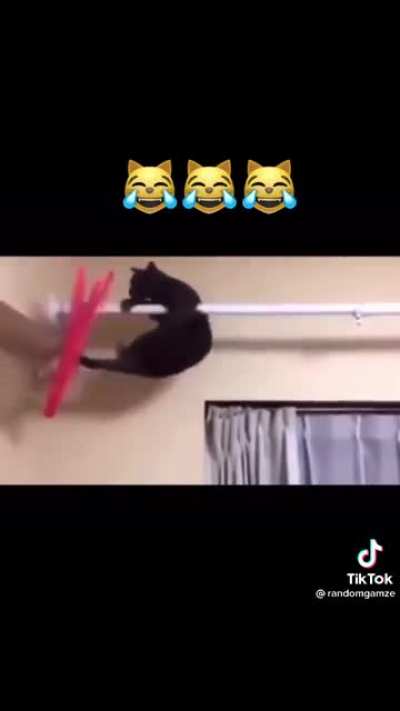 what the cat doin? 🤣🤣