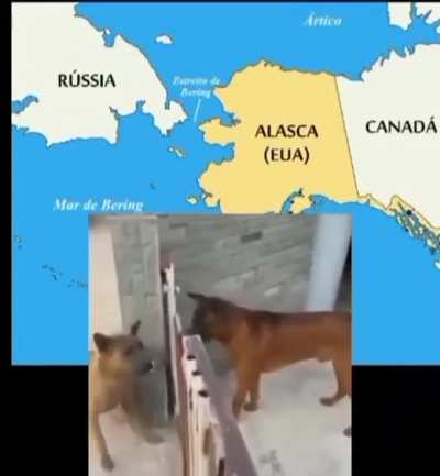 heil spez