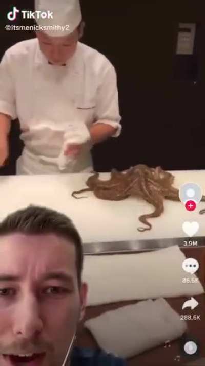 octopus 🐙 (sorry if this has been posted)