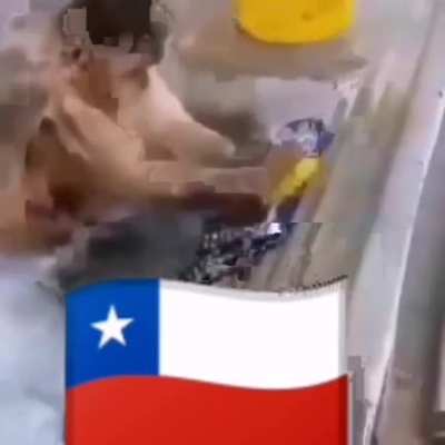 Chilenos