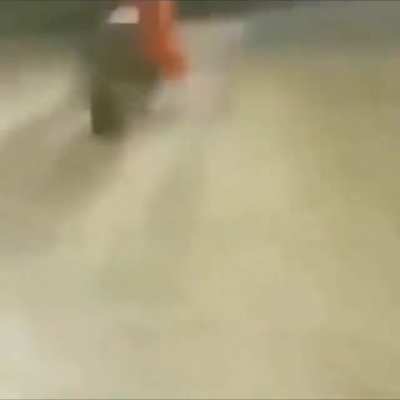 Cursed_fight