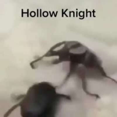 Rule