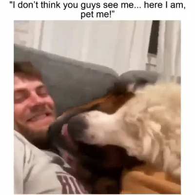 ME TOO! ME TOO!