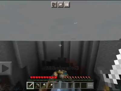 XD