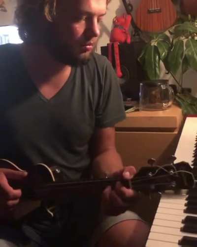Me playing the Animal Crossing theme