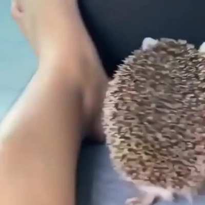 Spiky boy