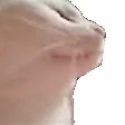 Me when lasaga