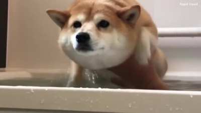 Micky baño