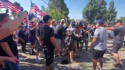 Protester gets pushed to the ground after using pepper spray