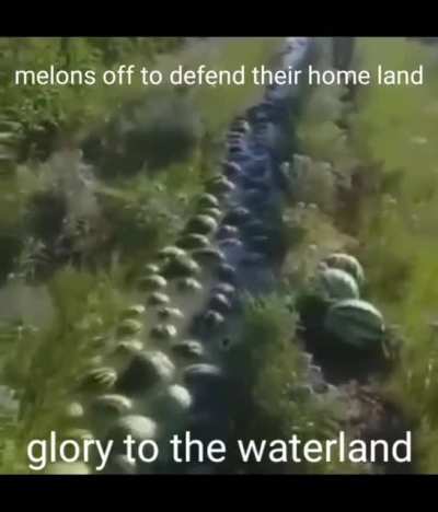 Good luck, watermelons 😎👍🏻