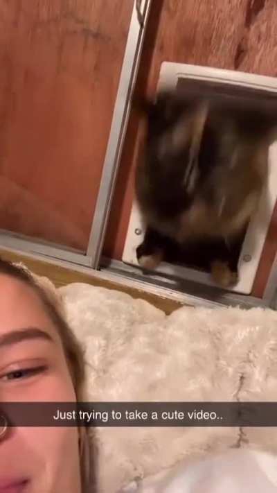 Paying the rent