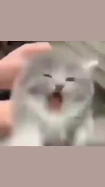 Ok