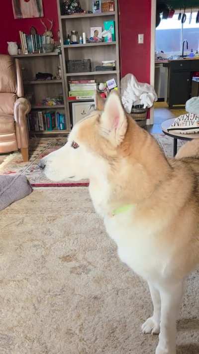 Morning complaints for momager from Obito