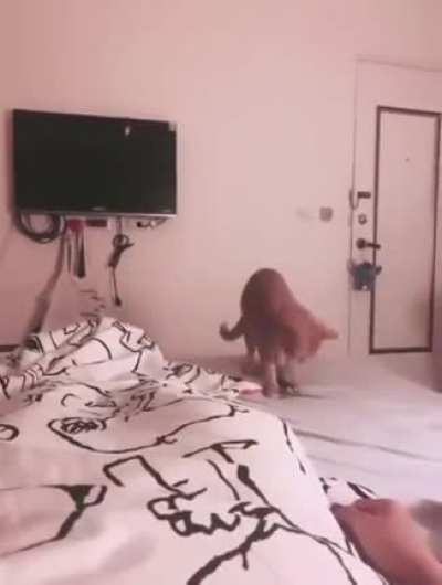 Fish Fuck You!